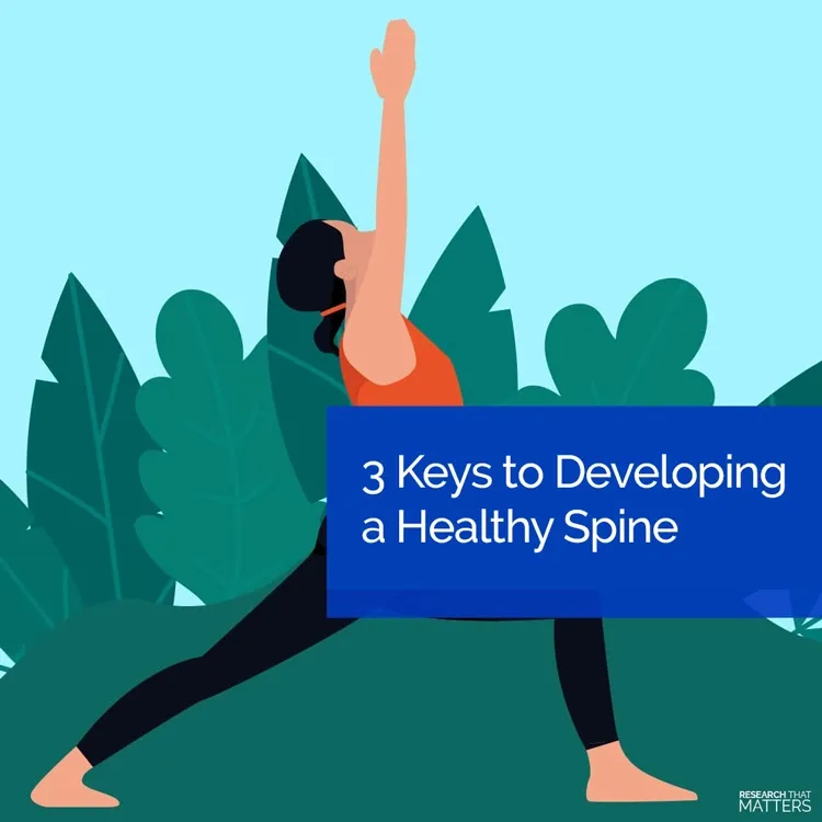 Chiropractic Vienna VA Develop A Healthy Spine