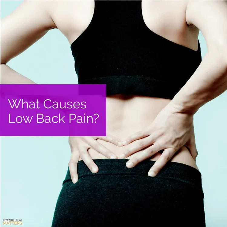 Chiropractic Vienna VA Lower Back Pain